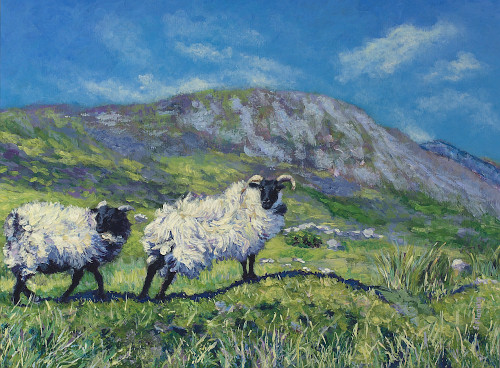 Artwork reproduction of Sheep of the Irish Hills. Achill Island.