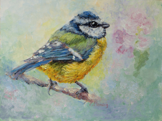 Artwork reproduction of Blue Tit.