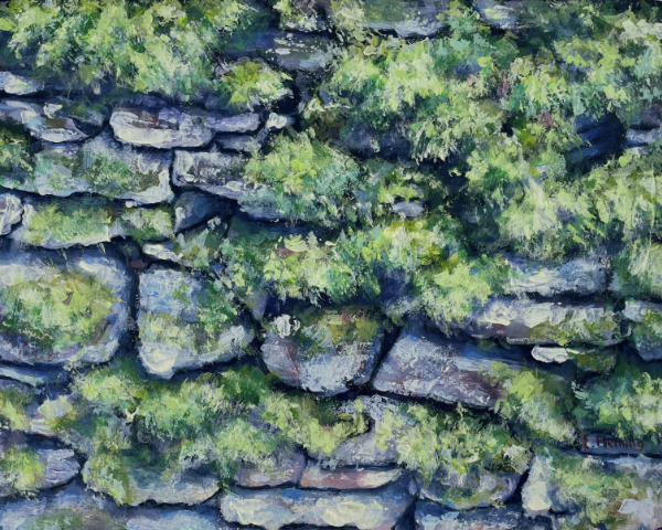 Weathered stones and green growth forming an old wall.